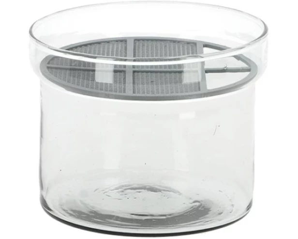 Esschert Design Sprossenkeimschale Transparent