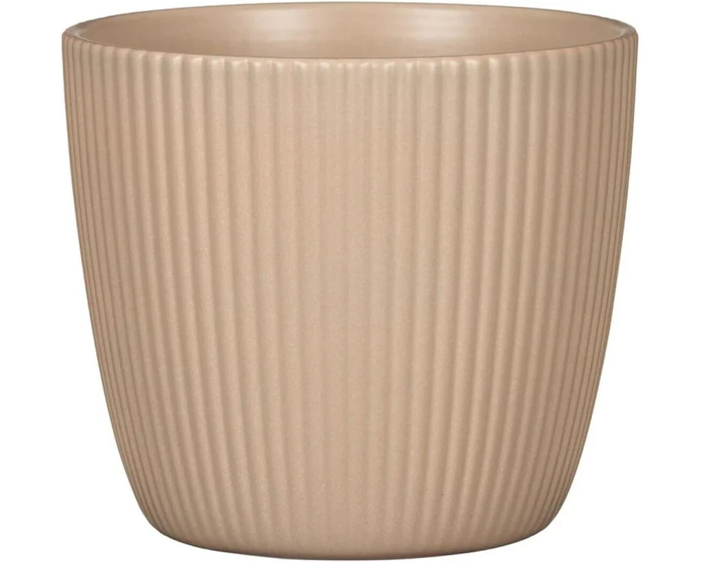 scheurich Blumentopf Aura Dry Reed, 19 cm