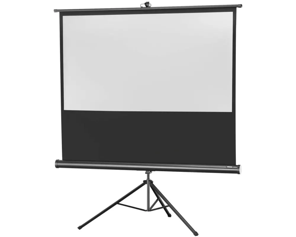 Celexon Stativleinwand Eco 219x123cm 16:9