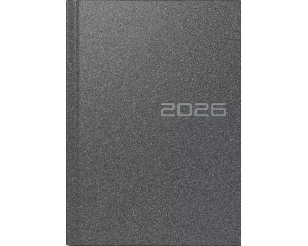 rido idé Tagesagenda Ridoide Mentor Reflecion 2026, Grau