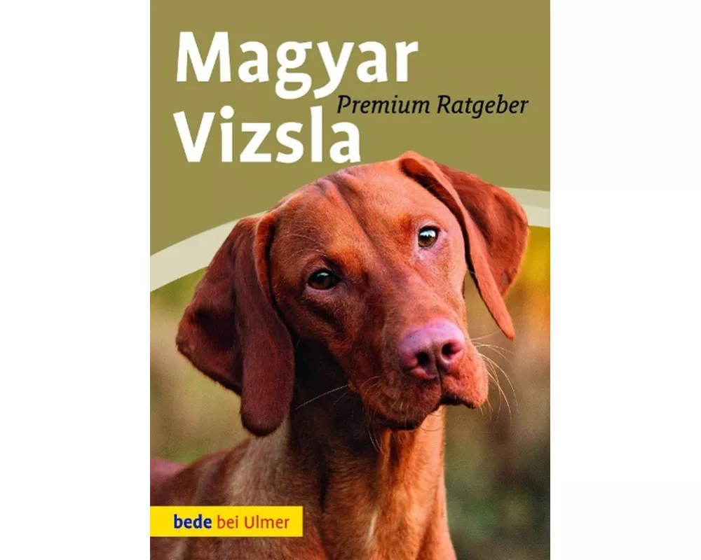Magyar Vizsla