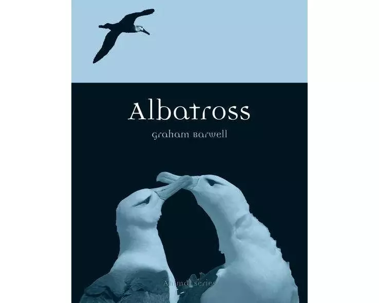 Albatross