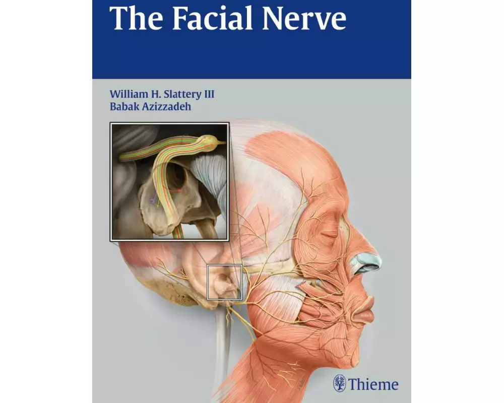 The Facial Nerve