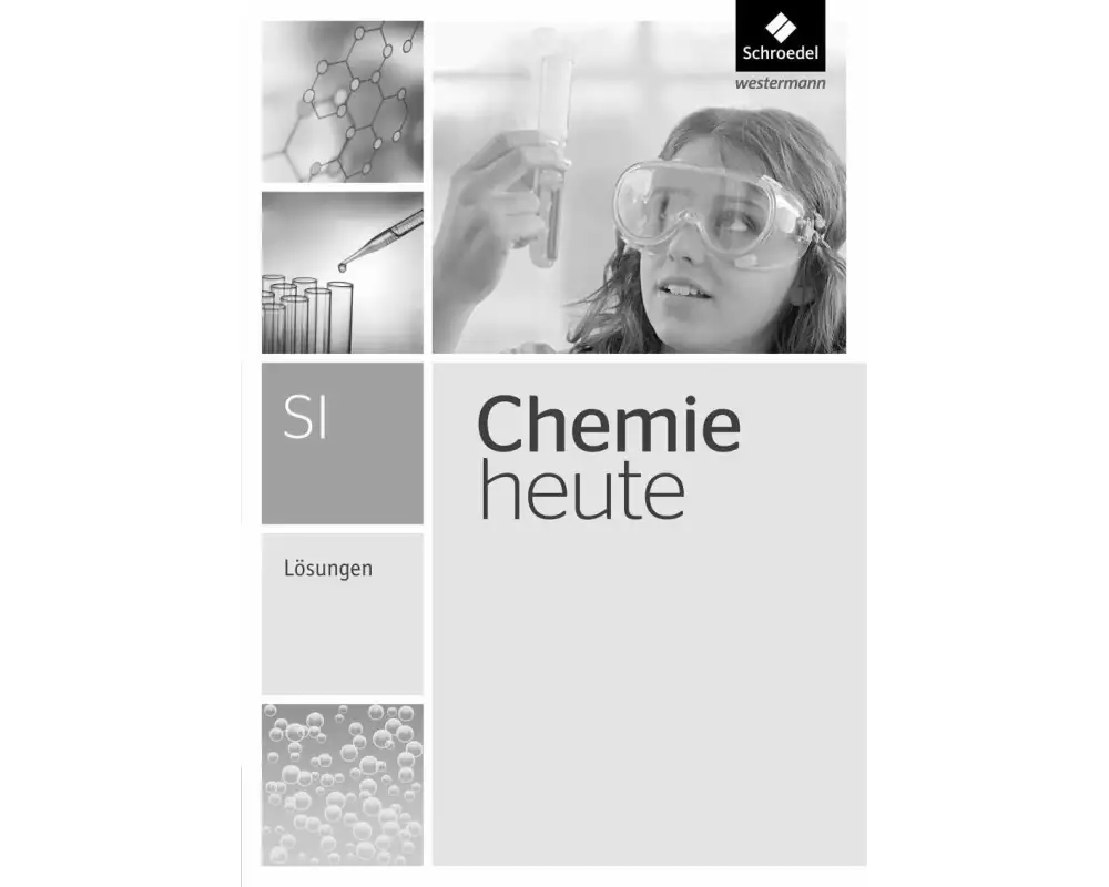 Chemie heute SI - Ausgabe 2013