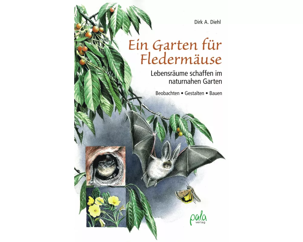 Ein Garten für Fledermäuse