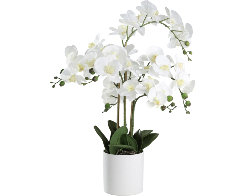 EGLO Kunstpflanze 65cm 428024 Orchidee, im Topf