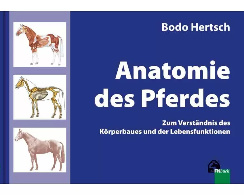 Anatomie des Pferdes