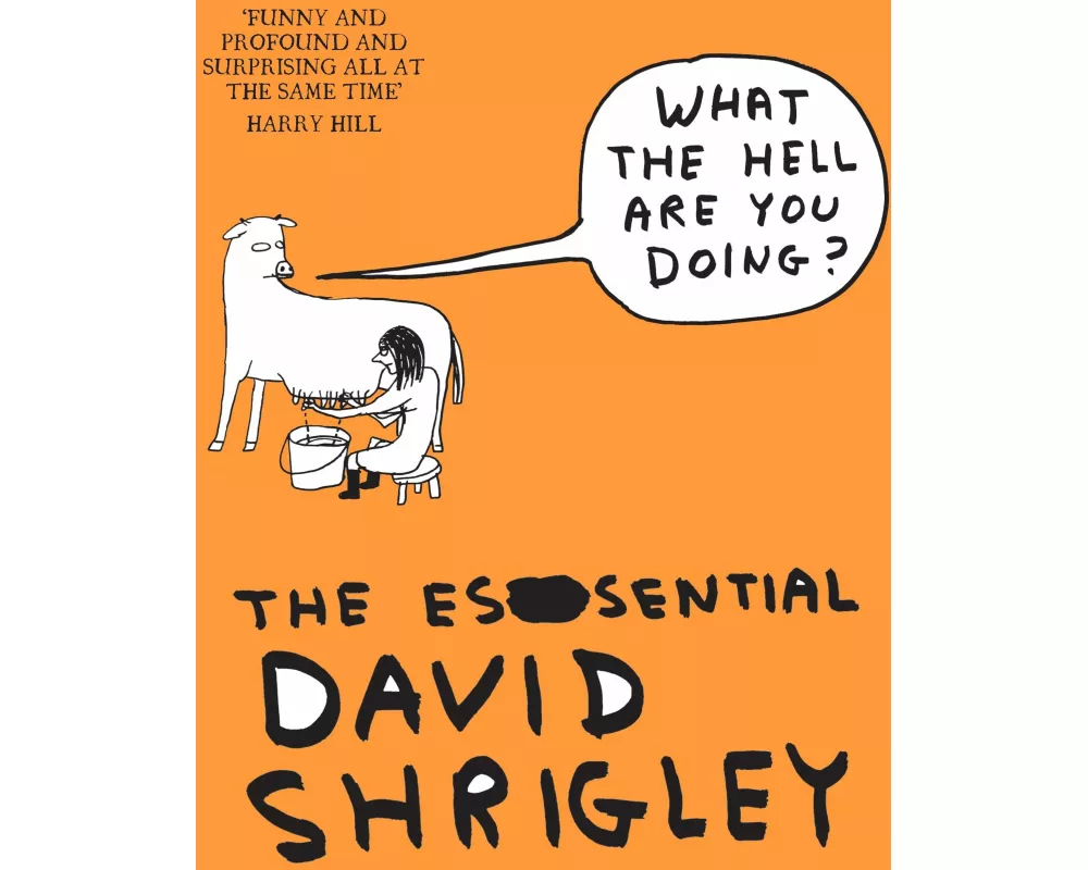 What The Hell Are You Doing?: The Essential David Shrigley