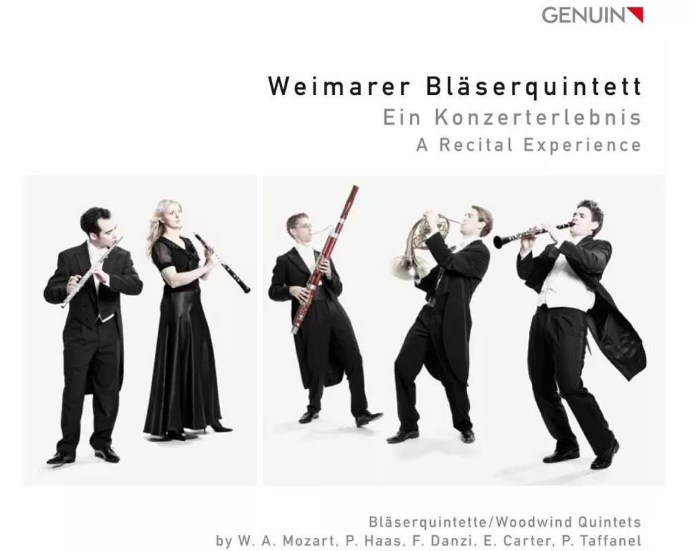 Ein Konzerterlebnis