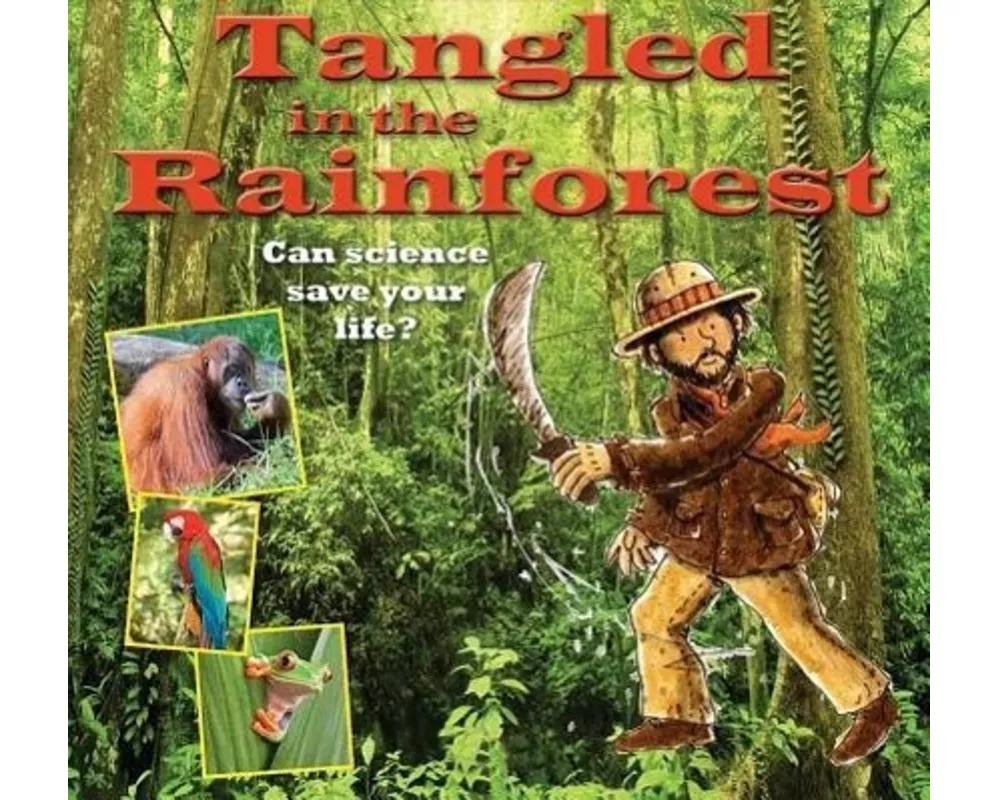 Tangled in the Rainforest