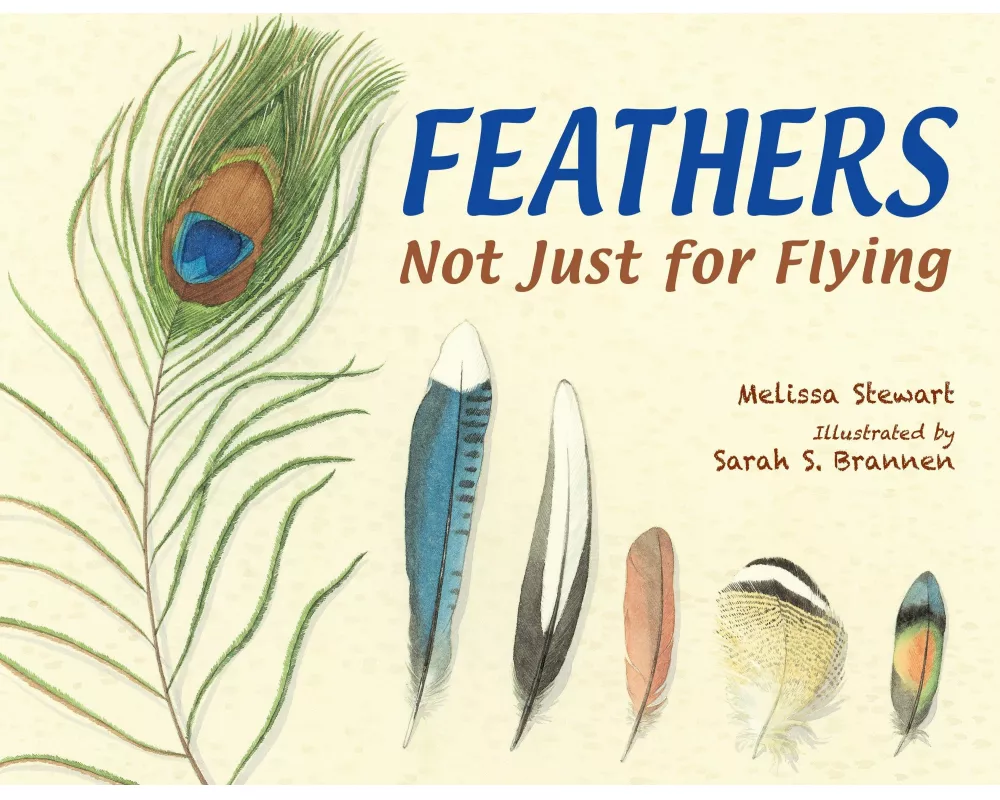 Feathers