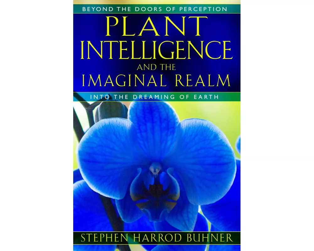 Plant Intelligence and the Imaginal Realm