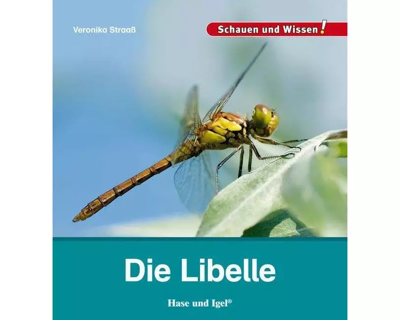 Die Libelle