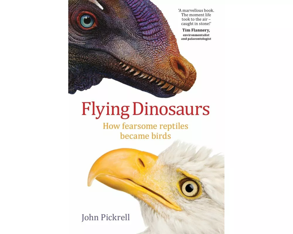 Flying Dinosaurs