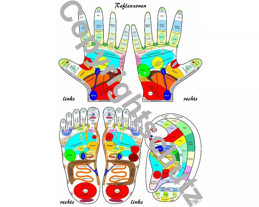 Reflexzonenübersicht - Füße, Hände und Ohr