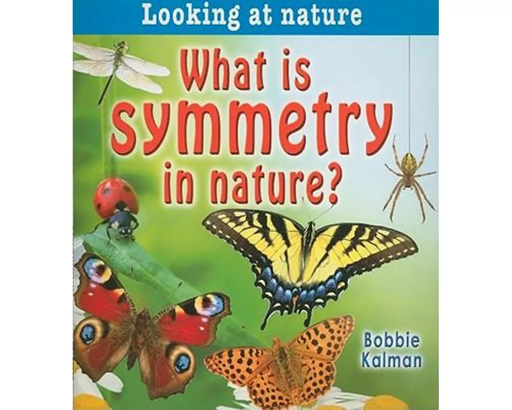 What Is Symmetry in Nature?