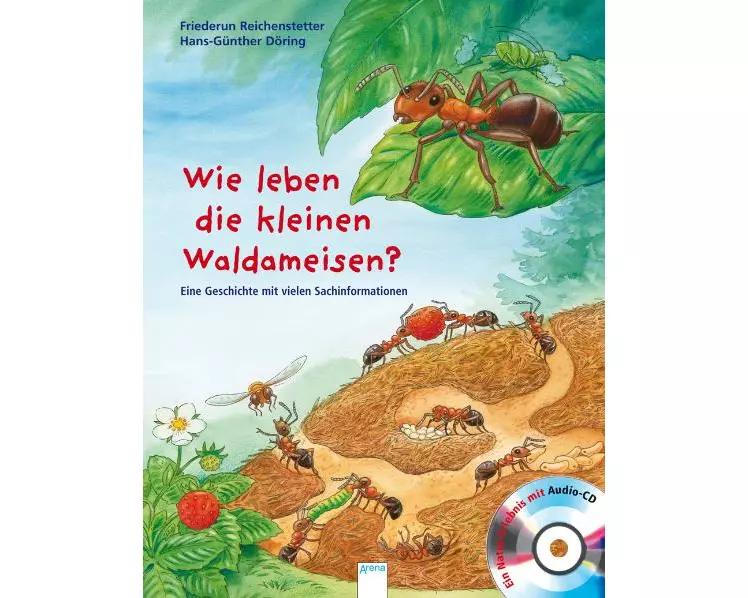 Wie leben die kleinen Waldameisen?