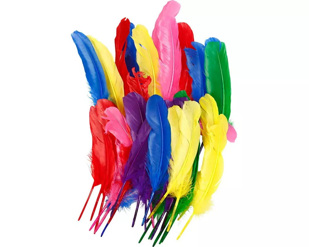 Creativ Company Federn Hühner, L 20 cm, Sortierte Farben, 36 Stück
