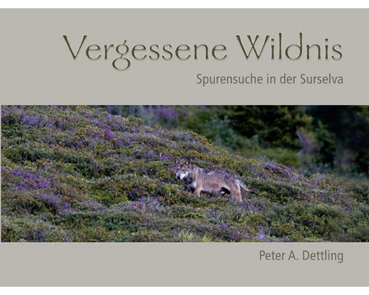 Vergessene Wildnis