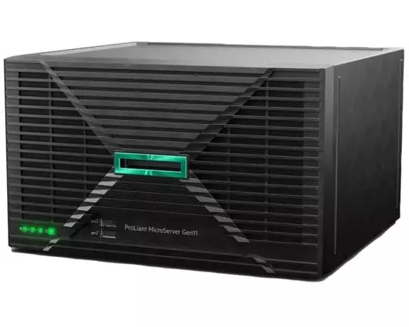 HPSC/MicroSvr G11 6325P 1x32G NHPHDD Svr