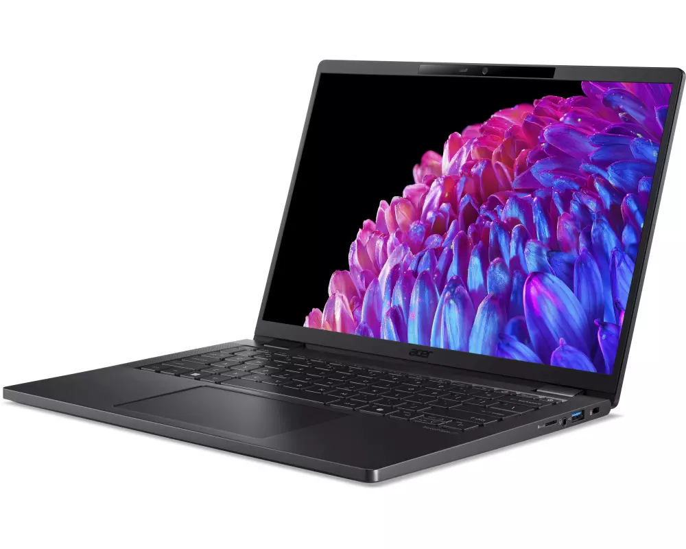 Acer Notebook TravelMate P6