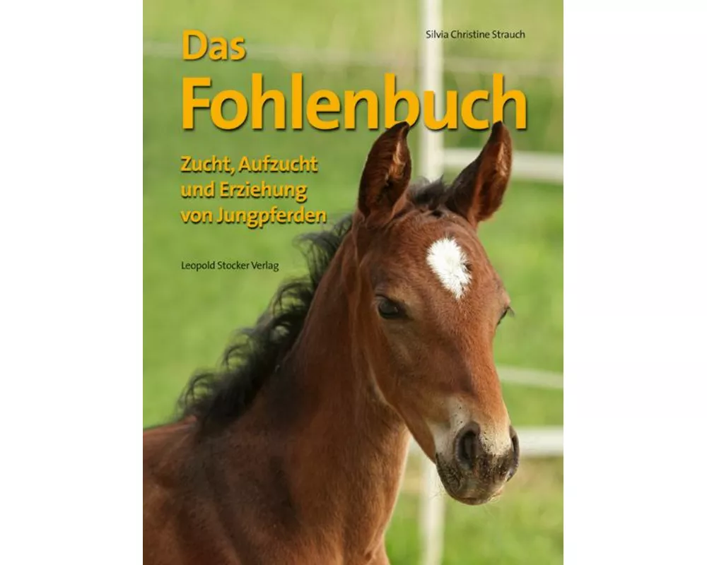 Das Fohlenbuch