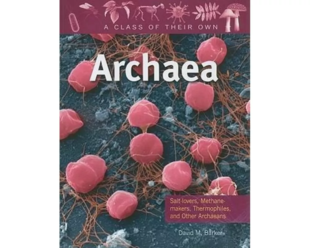 Archaea: Salt-Lovers, Methane-Makers, Thermophiles, and Other Archaeans