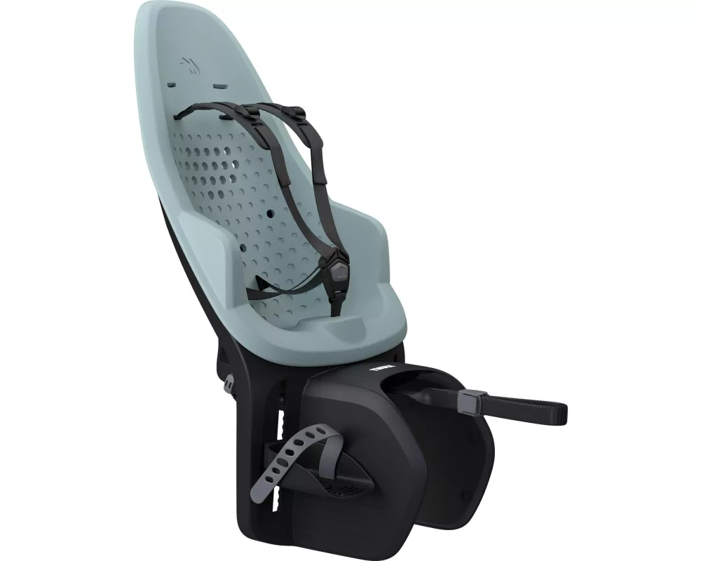 Thule Fahrradkindersitz Yepp 2 Maxi (GT) Alaska