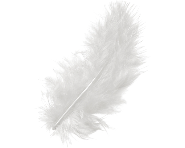 KNORR PRANDELL Marabufedern 10cm 6619002 weiss 15 Stück