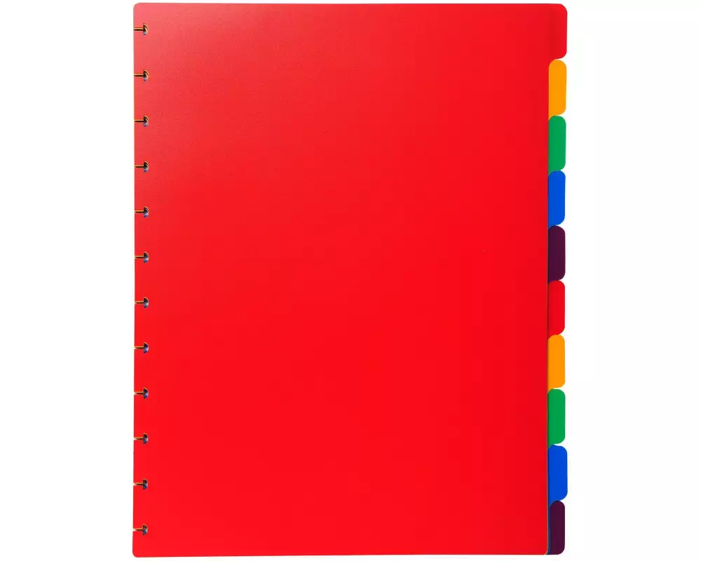 Exacompta Ordnungsmappe für herausnehmbare Prospekthüllen Mehrfarbig