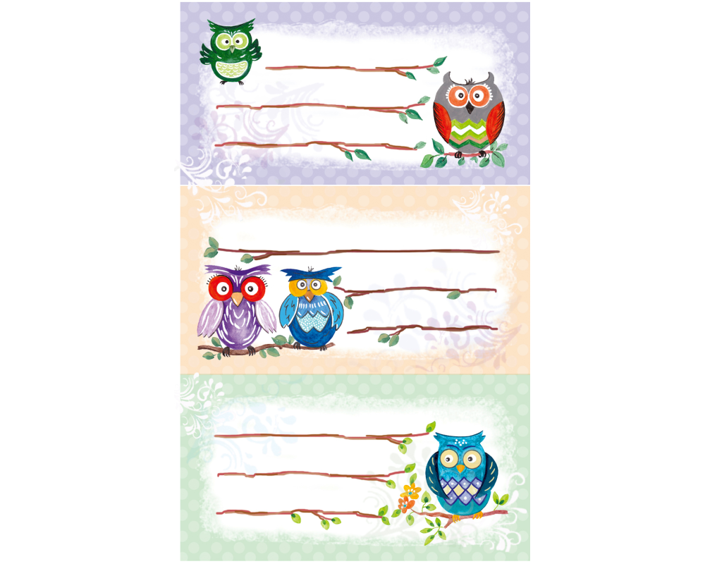 Z-DESIGN Sticker Eule 8.4x16cm 59249Z farbig 2 Bogen