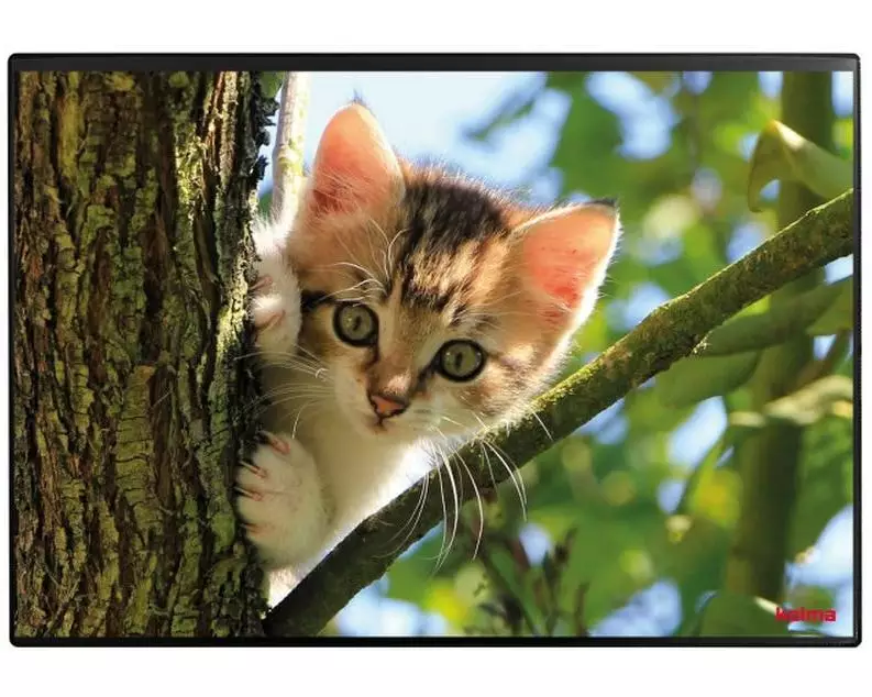 Kolma Schreibunterlage Undercover Poster Katze, 50 x 34 cm