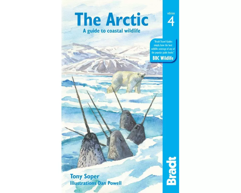 The Arctic