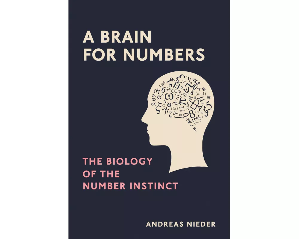 A Brain for Numbers