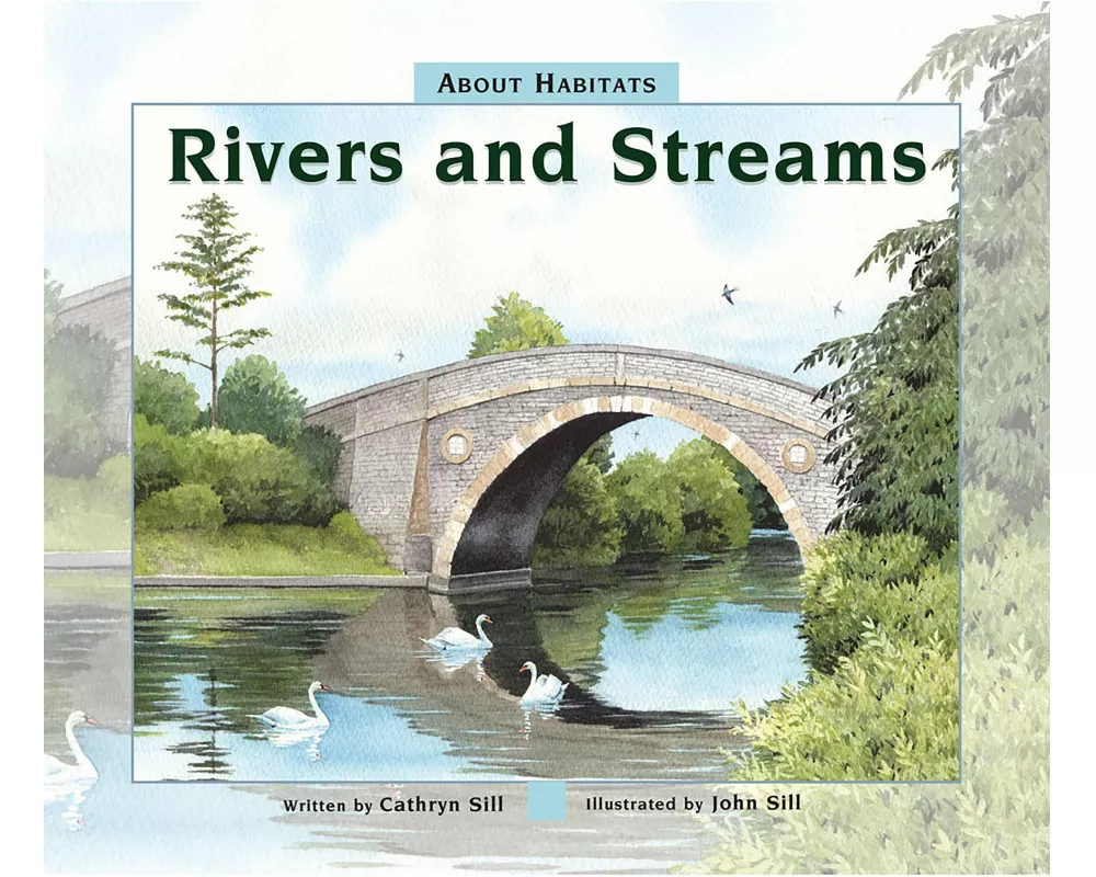 Rivers and Streams