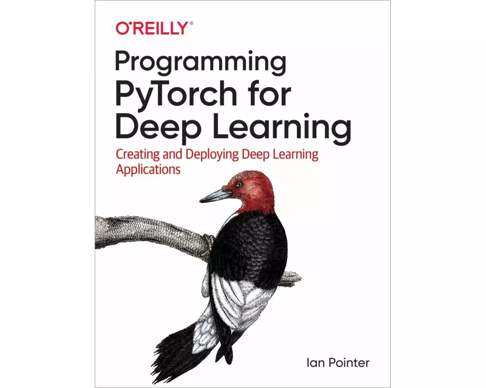 Programming PyTorch for Deep Learning