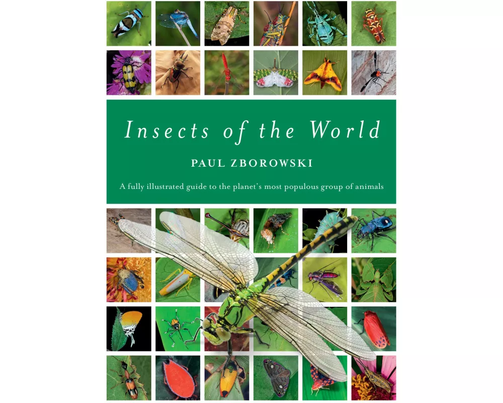 Insects of the World