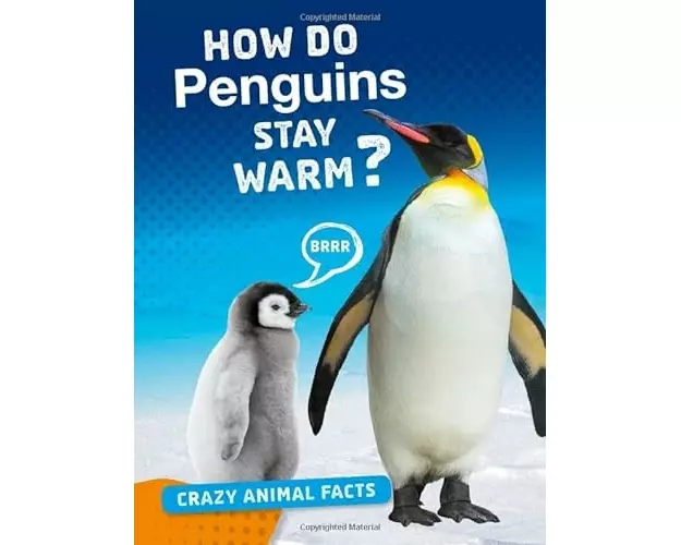 How Do Penguins Stay Warm?