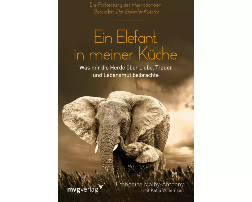 Ein Elefant in meiner Küche