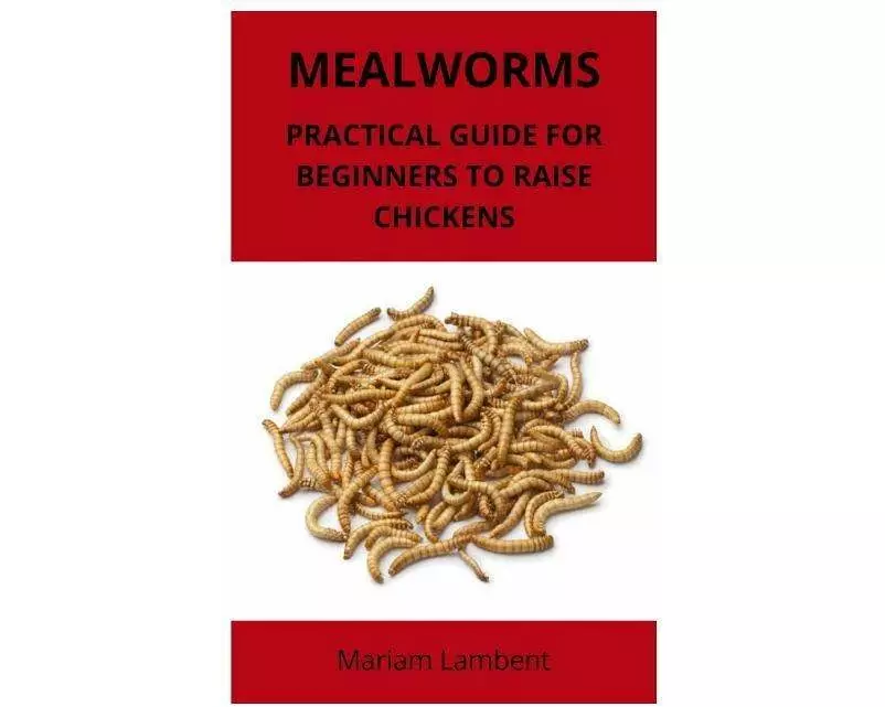 Mealworms: Practical Guide for Beginners to Raise Chickens