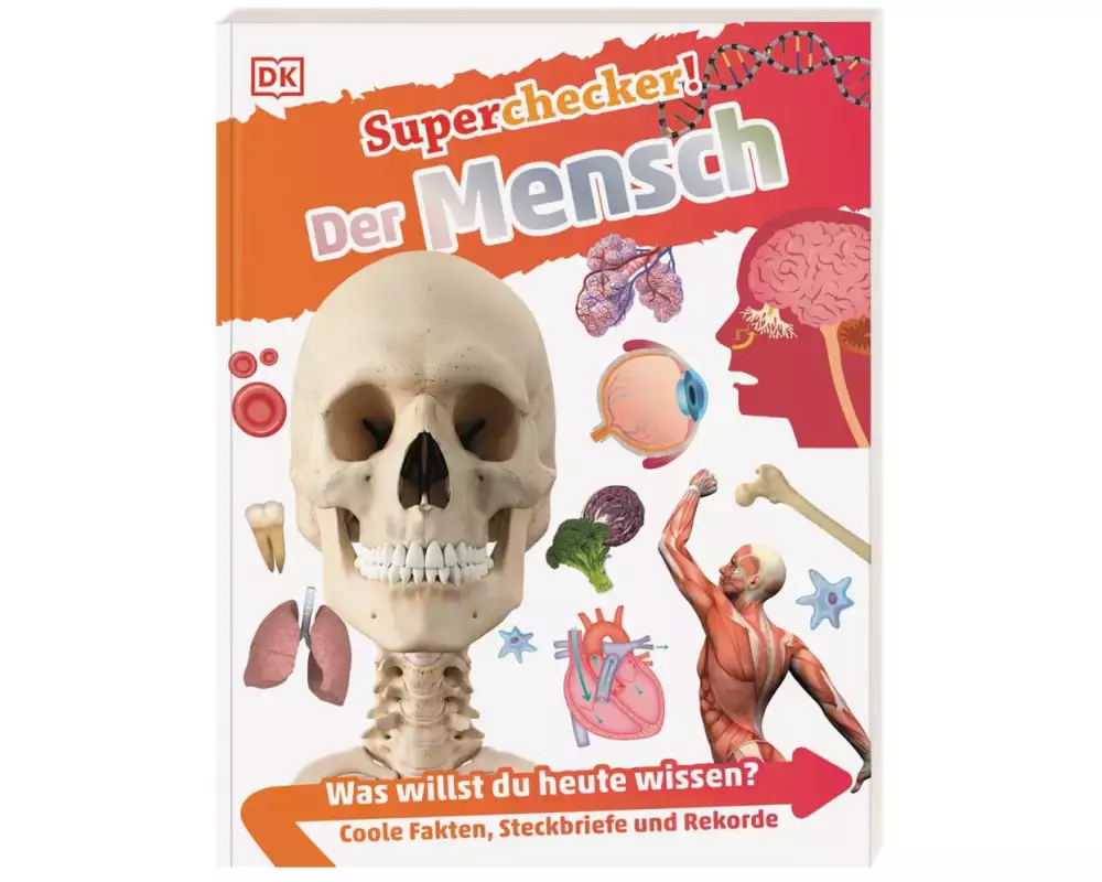 Superchecker! Der Mensch