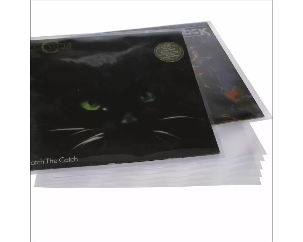 Schallplatten Hüllen 50 Stück