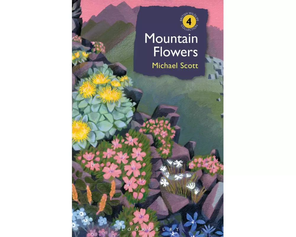Mountain Flowers
