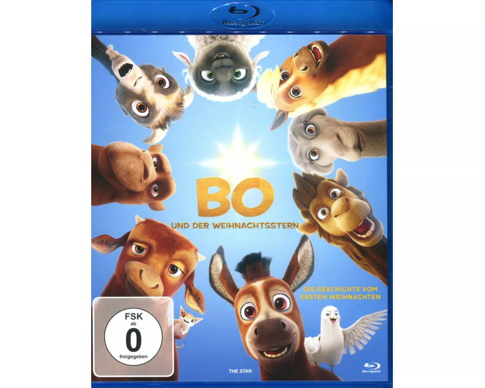 Bo und der Weihnachtsstern