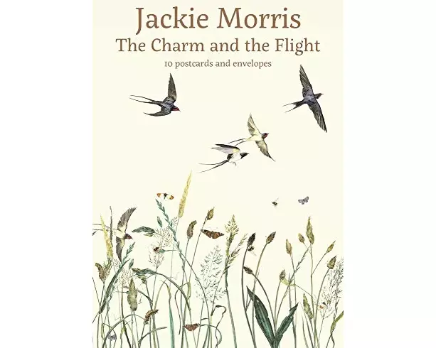 Charm and the Flight Postcard Pack, The