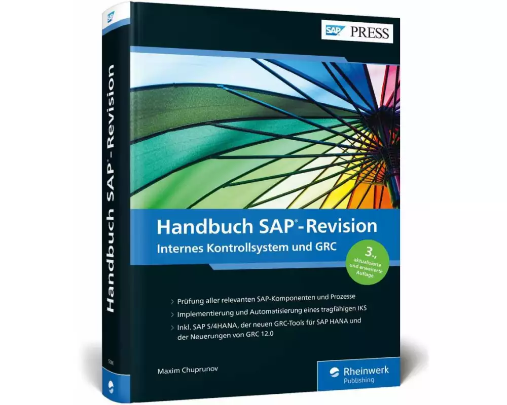 Handbuch SAP-Revision