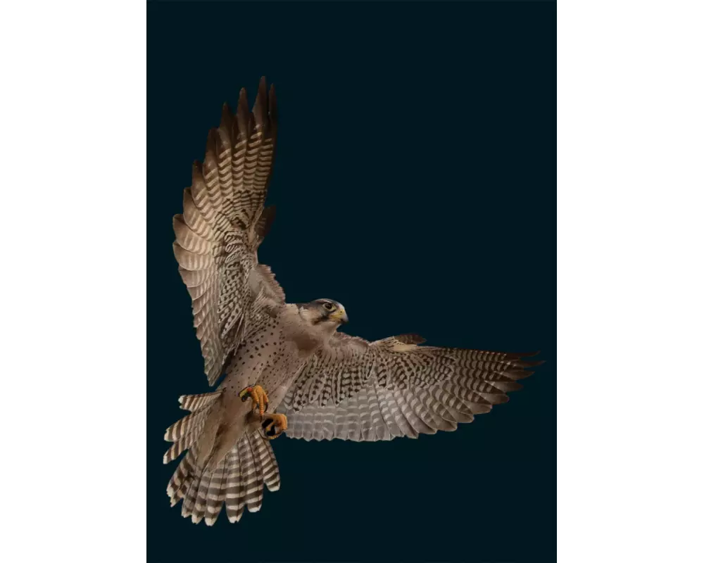 Graphis Photography Annual 2020