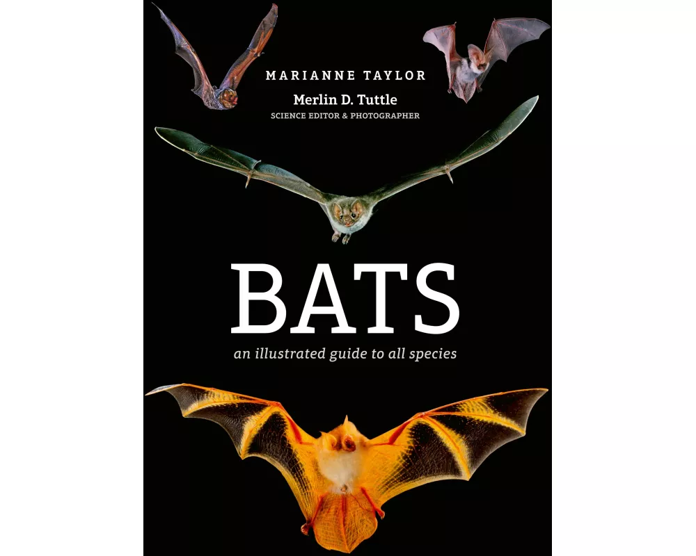 Bats