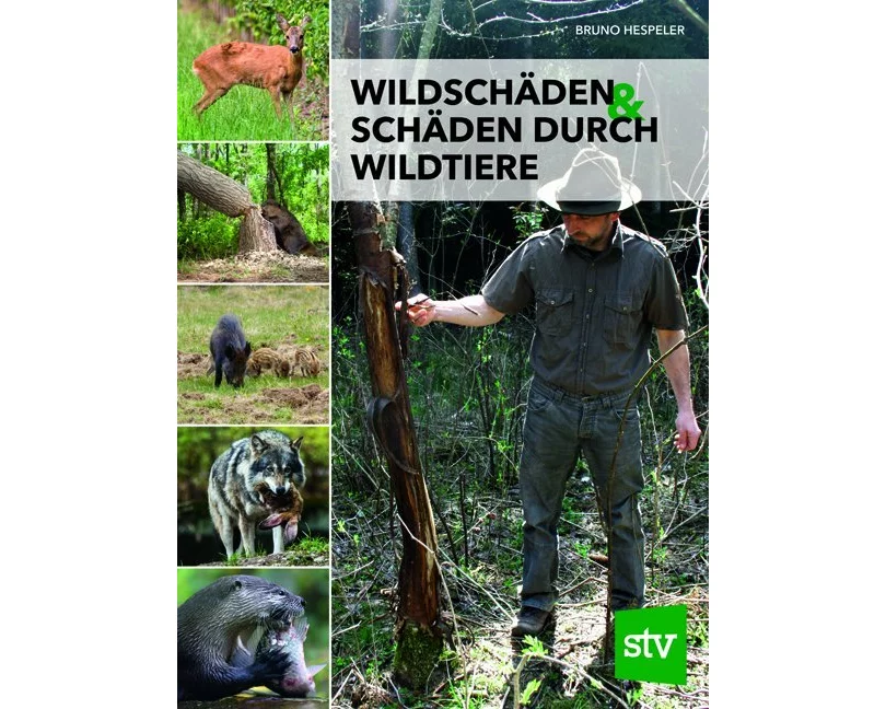 Wildschäden & Schäden durch Wildtiere