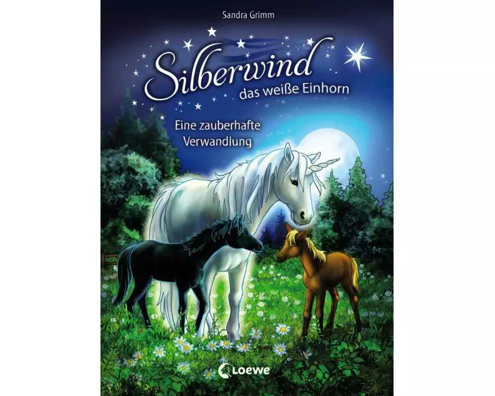 Silberwind, das weiße Einhorn (Band 9) - Eine zauberhafte Verwandlung